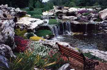 botanical garden