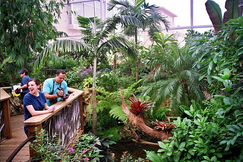 Environmentaldesigns Org Butterfly Rainforest At The Mcguire Center